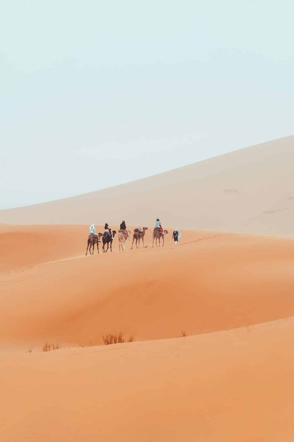 Quels sont les meilleurs itinéraires pour un trek dans le désert de Wadi Rum, Jordanie ?