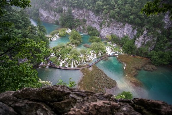 Peut-on trouver des croisières qui intègrent des visites de réserves naturelles marines?